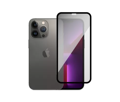 iPhone 13 Pro Graphite with free screen protector